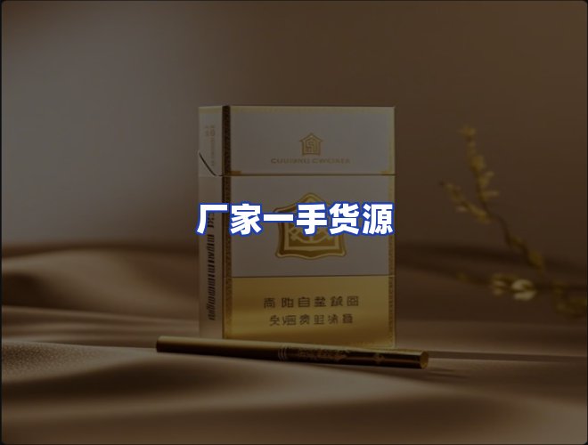 专业团队